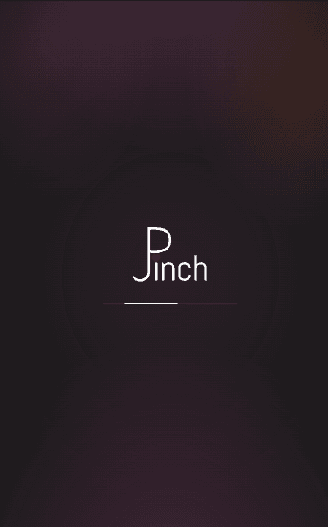 Экран загрузки Pinch с фирменным логотипом